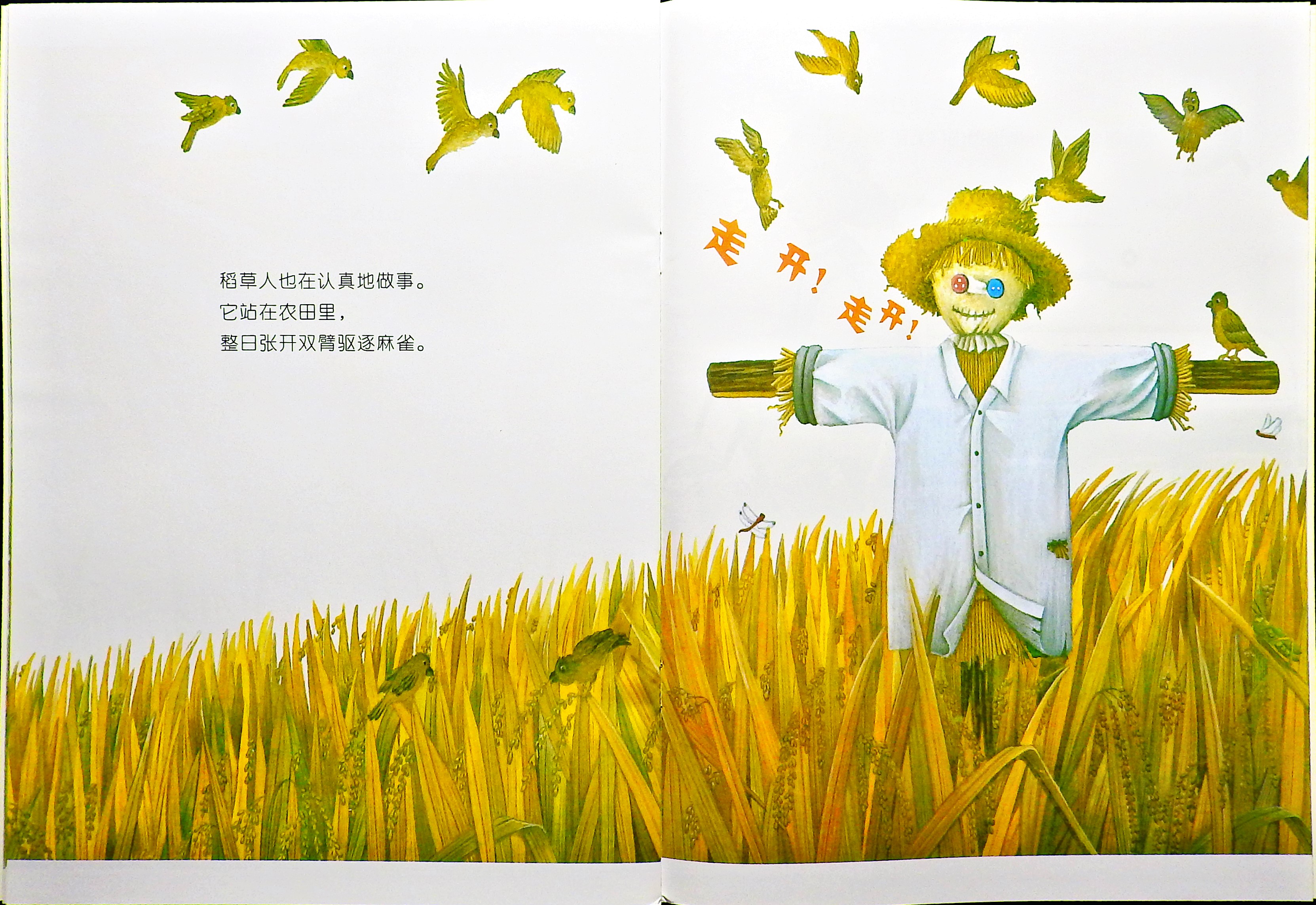 大米是怎么来的？ (10),绘本,绘本故事,绘本阅读,故事书,童书,图画书,课外阅读